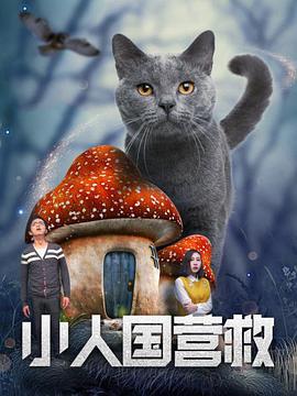 可以看美女视频的网站