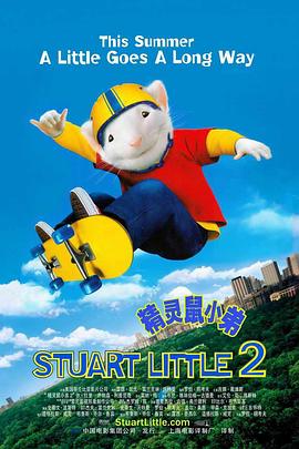 五月婷综合网