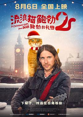 av在线每日更新
