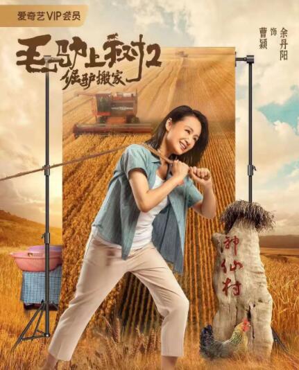 夫人吃得很好