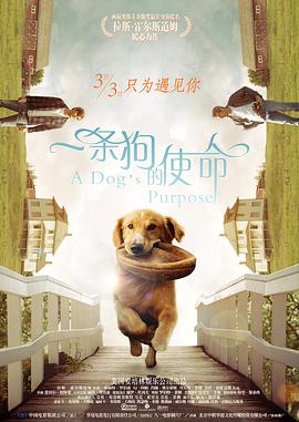 亚洲视频精品