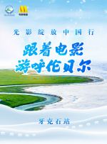 隐藏的相机基本本能