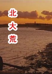 中文字幕日韩视频