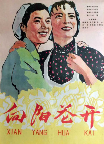 向往的生活 第七季 综艺